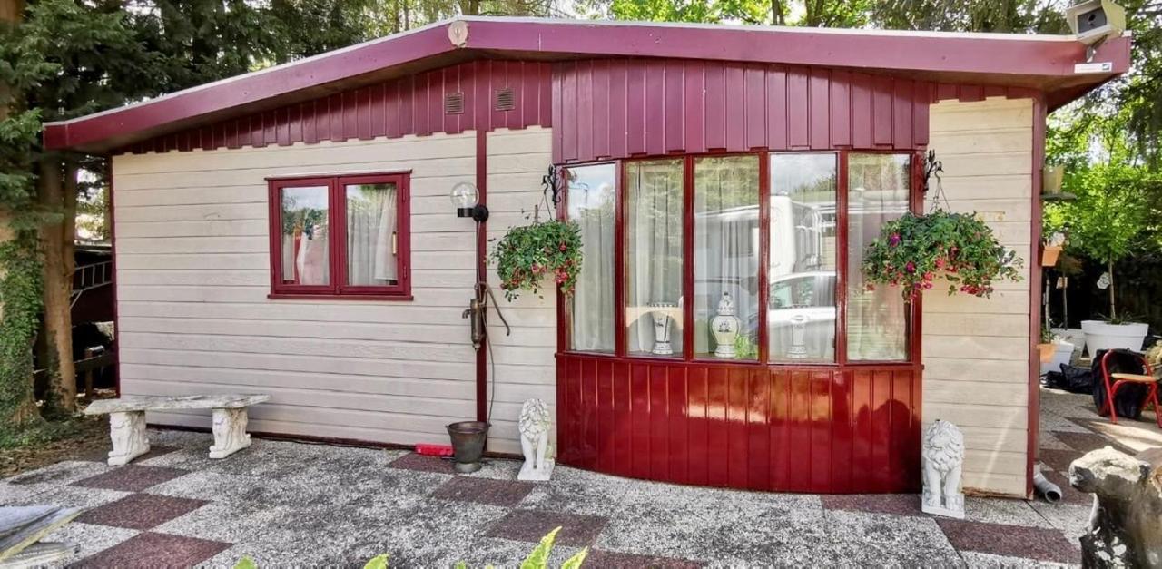 Retro Relax Resort Midden In Het Bos Op De Veluwe In Putten Zewnętrze zdjęcie